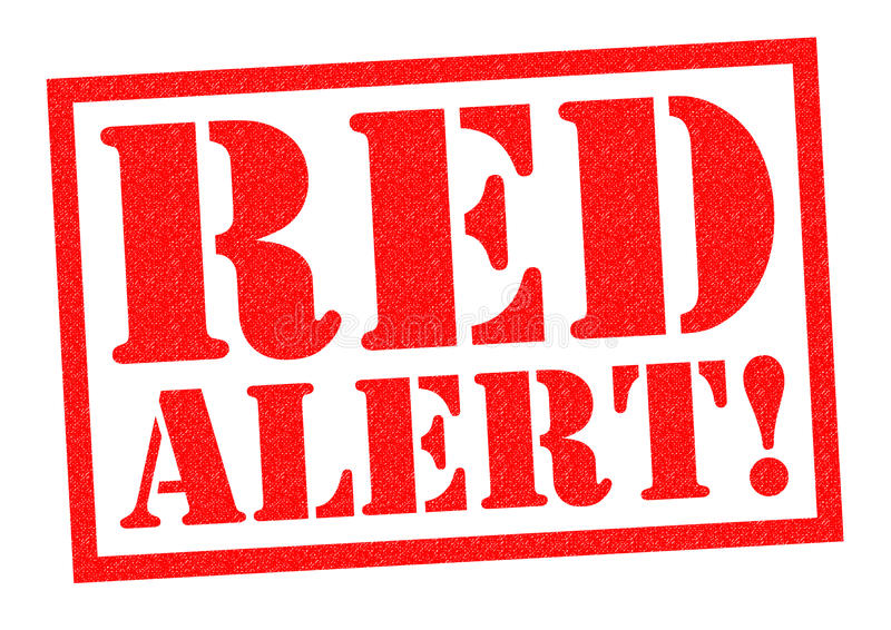 Florida Bail Bond Scam Victims